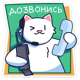 🐈 ДОЗВОНИСЬ gato, teléfono, auriculares, llamada, comunicación, soporte whatsapp sticker