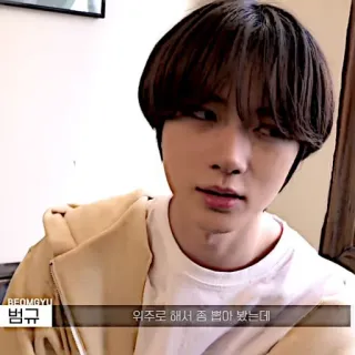 ❤️ 범규 kpop, chanteur, homme, portrait, asiatique, idole whatsapp sticker