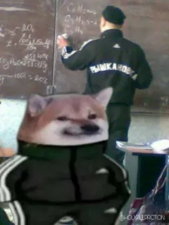 😐 Doge 밈, 개, 아디다스, 츄리닝, 침스, 도지 telegram sticker