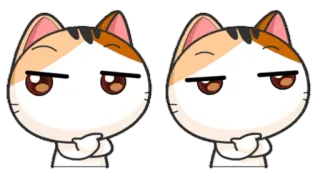🧐 gato, pegatina, emoji, animal, lindo telegram sticker