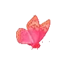 🦋