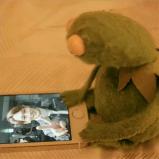 🐸 Kermit Kermit o Sapo, dedo do meio, gesto, meme whatsapp sticker