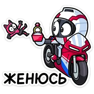 💍 ЖЕНЮСЬ moto, cartone animato, gatto, anello, matrimonio, matrimonio, proposta di matrimonio telegram sticker