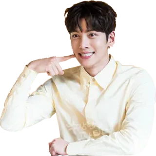 😁 homme, souriant, personne, coréen, acteur, portrait whatsapp sticker