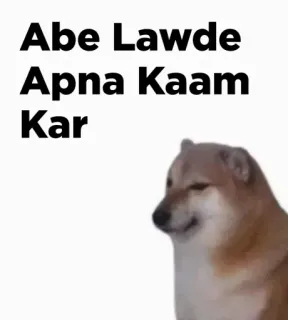🎭 Abe Lawde Apna Kaam Kar chien, mème, cheems, drôle, indien telegram sticker