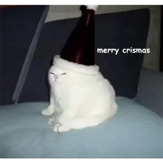 🎅 merry crismas kot, święta, mem, śmieszne, słodkie, święto telegram sticker