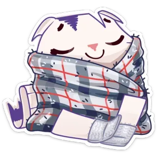 🤤 Katze, Decke, süß, schlafend, gemütlich, entzückend, Winter, warm telegram sticker