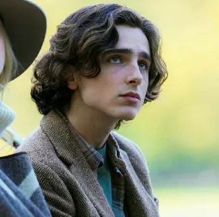 🦇 Timothée Chalamet actor, hombre, retrato, celebridad telegram sticker