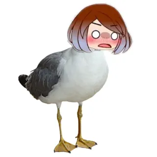 🦆 чайка, птица, аниме, стикер, смешной, мем telegram sticker