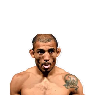 Fighters UFC MMA telegram stickers