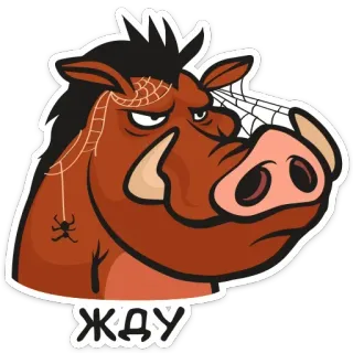🕓 ЖДУ boar, cartoon, waiting, spiderweb telegram sticker