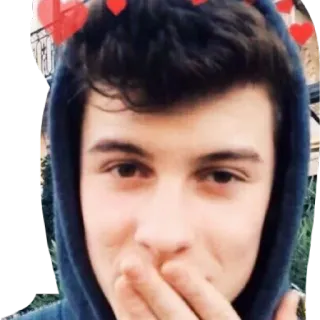 😘 Shawn Mendes Shawn Mendes, singer, celebrity, musician, heart filter, pop star whatsapp sticker