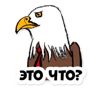 😐 ЭТО ЧТО? орел, птица, костюм, русский, вопрос telegram sticker