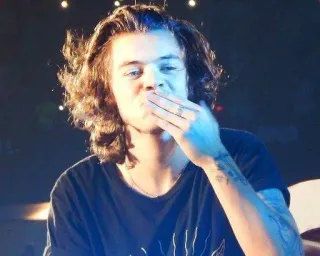 ❤️‍🩹 Harry Styles Harry Styles, penyanyi, artis, selebriti, musik pop telegram sticker