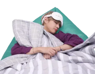 😴 sleeping, sleep, person, bed, blanket, pillow, rest telegram sticker