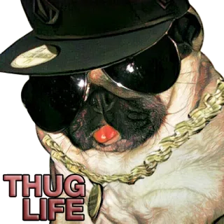 😎 THUG LIFE 퍼그, 개, 선글라스, 건달 라이프, 동물, 밈 telegram sticker