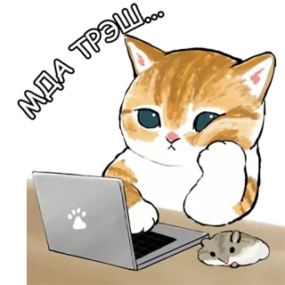 😐 МДА ТРЭШ... 猫, 电脑, 仓鼠, 思考, 动物 whatsapp sticker