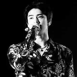➖ นักร้อง, ชาย, ภาพเหมือน, เพลง, เคป็อป telegram sticker