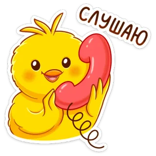 📞 СЛУШАЮ kurczak, ptak, telefon, kreskówka, słodki, zwierzę, komunikacja telegram sticker