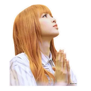 Lisa BLACKPINK By @susuimut telegram stickers