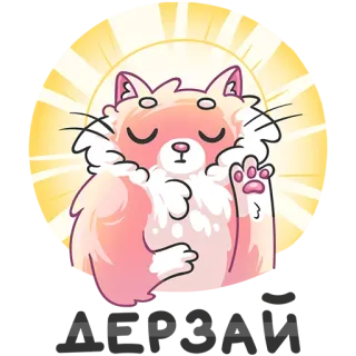 😦 кот, милый, животное, пушистый, очаровательный, наклейка whatsapp sticker