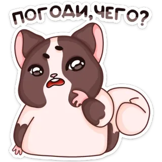 😨 ПОГОДИ, ЧЕГО? 고양이, 질문, 혼란스러움, 러시아어, 스티커 telegram sticker