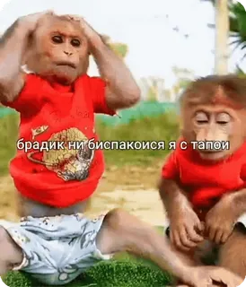 Больше стиков тут: @stikery4 telegram stickers