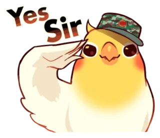 cobabird telegram stickers