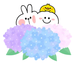 🌼 coelho, nuvem, pintinho, flores, fofo, adesivo, hortênsias telegram sticker