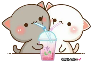 🥤 koty, słodkie, kawaii, bubble tea, zwierzęta whatsapp sticker