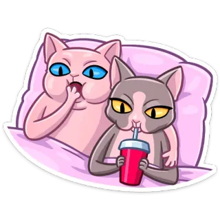 🍿 고양이, 애완 동물, 동물, 귀여운, 음료, 우정 telegram sticker