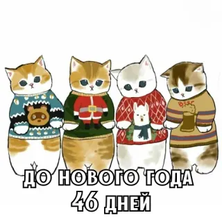 🎄 ДО НОВОГО ГОДА 46 ДНЕЙ chats, nouvel an, russe, vacances, hiver whatsapp sticker