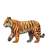 🐅