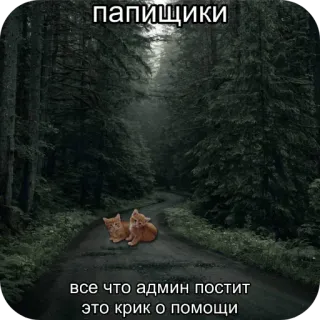 🤫 папищики
все что админ постит
это крик о помощи 猫, 森, 道, 子猫, 面白い telegram sticker