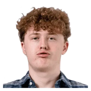🤡 telegram sticker