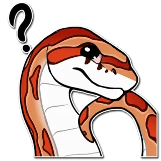 🤔 serpiente, animal, pregunta, pensando, lindo, reptil whatsapp sticker