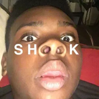 😱 SHOOK sốc, ngạc nhiên, meme, hài hước, chân dung, biểu cảm, sợ hãi telegram sticker