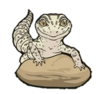 🙃 Eidechse, Gecko, Tier, Reptil, Haustier telegram sticker