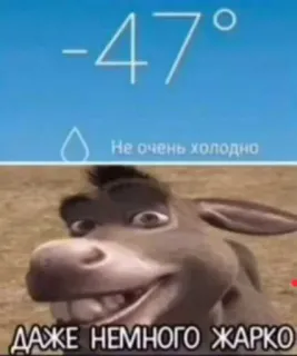 Больше стиков тут: @stikery4 telegram stickers
