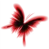 ๐