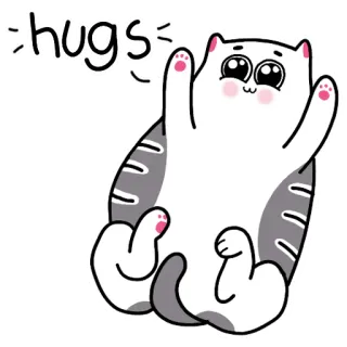 👐 hugs แมว, กอด, น่ารัก, สัตว์, คาวาอิ, สติกเกอร์ telegram sticker