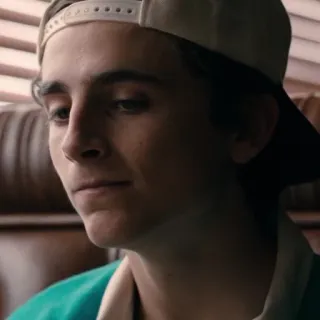 😕 Timothée Chalamet актер, портрет, знаменитость, мужчина, шляпа whatsapp sticker