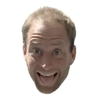 😊 portrait, visage, homme, portrait, expression, drôle telegram sticker