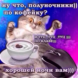🌚 ну что, полуночники))
по кофейку?
И ТУЦ, ТУЦ, ТУЦ ))))
ПО КЛАВЕ)))
хорошей ночи вам))) cat, coffee, midnight, good night, keyboard, mouse telegram sticker