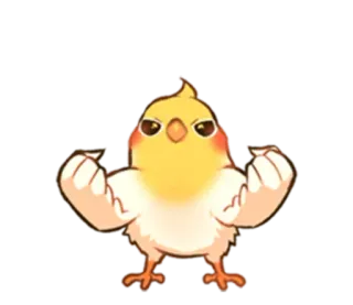 💪 frango, pássaro, músculos, forte, desenho animado, fofo, flexionando telegram sticker