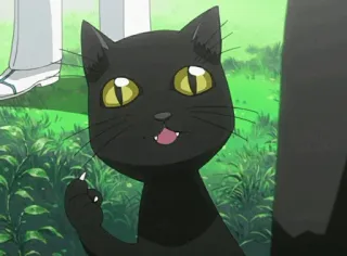✋ cat, black cat, cartoon, anime telegram sticker