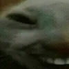 😁