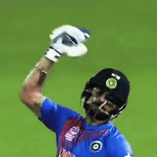 🦁 Cricket, Sport, Sportler, Jubel telegram sticker