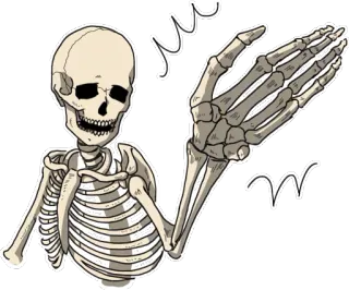 ✋ โครงกระดูก, กระดูก, กายวิภาค, ฮาโลวีน, น่ากลัว, ตลก telegram sticker