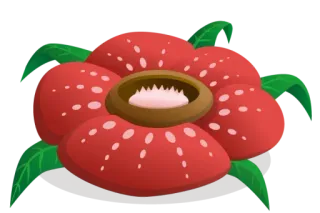 🌺 bloem, rood, bladeren, bloei, plant telegram sticker